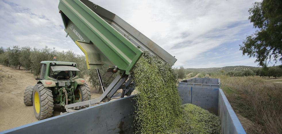 Los agricultores españoles, alarmados ante los posibles nuevos aranceles de Trump