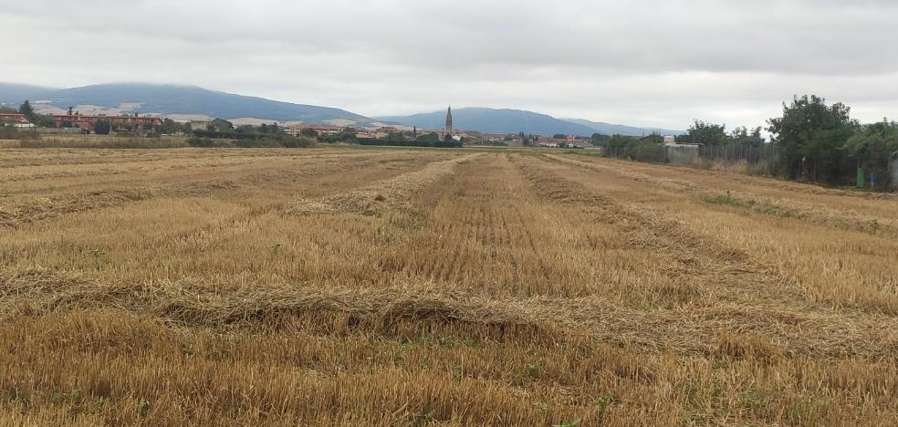 Campos de patatas para los aviones en Santo Domingo de la Calzada