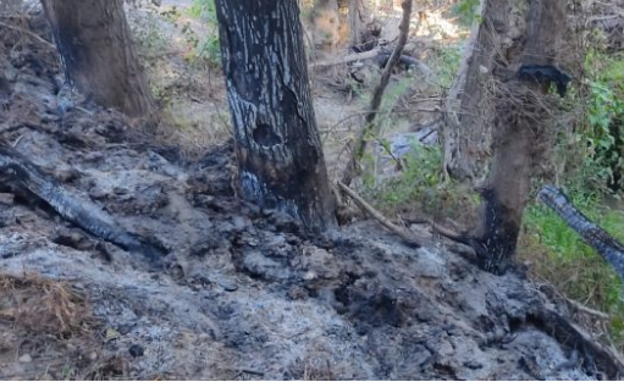 La denuncia de Amigos de La Tierra: «Incendios, vertidos y todoterrenos degradan los Sotos de Alfaro y zonas cercanas»