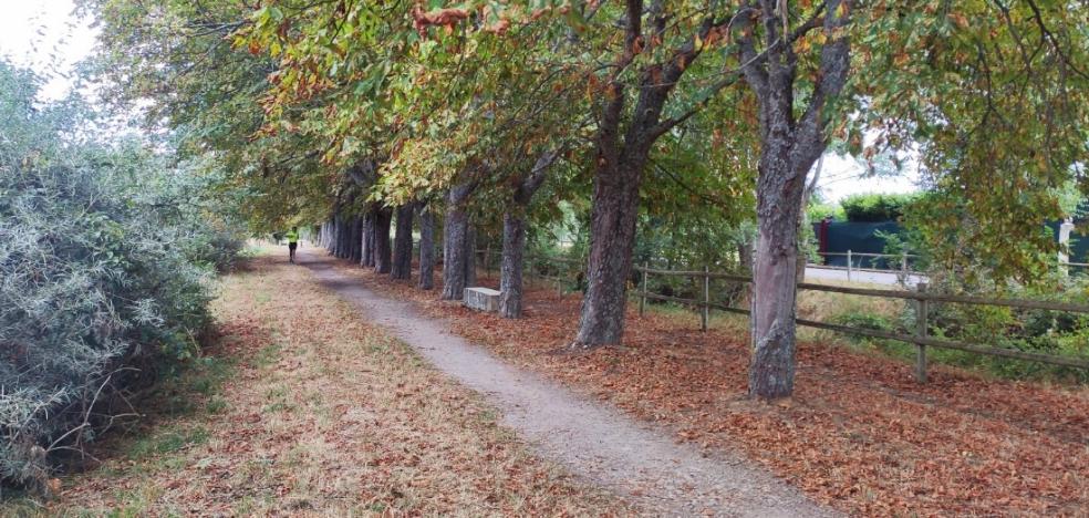 En Santo Domingo ya parece 'otoño'