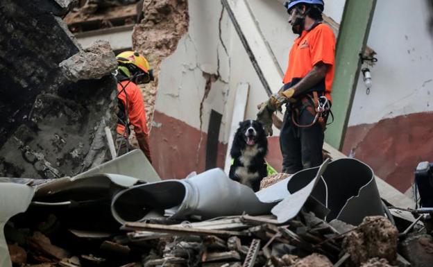 Beirut espera el milagro de encontrar un superviviente un mes después de la explosión