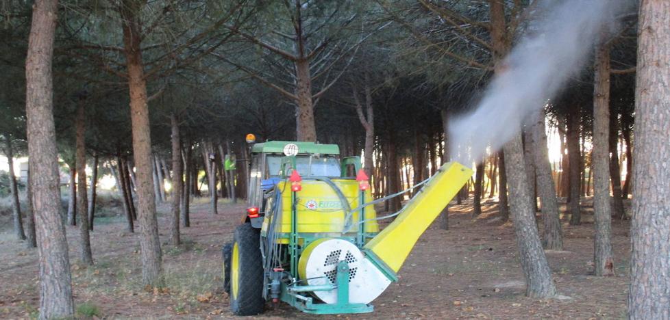 Más de 100.000 euros para contratar el servicio de control de plagas en Logroño