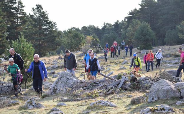 Aplazada hasta 2021 la 26 Marcha de Hoyos de Iregua