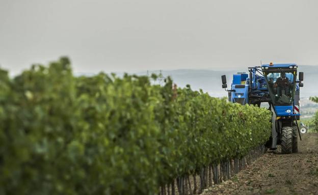 Las solicitudes de las ayudas PAC 2020 ayudarán a 5.666 explotaciones en La Rioja