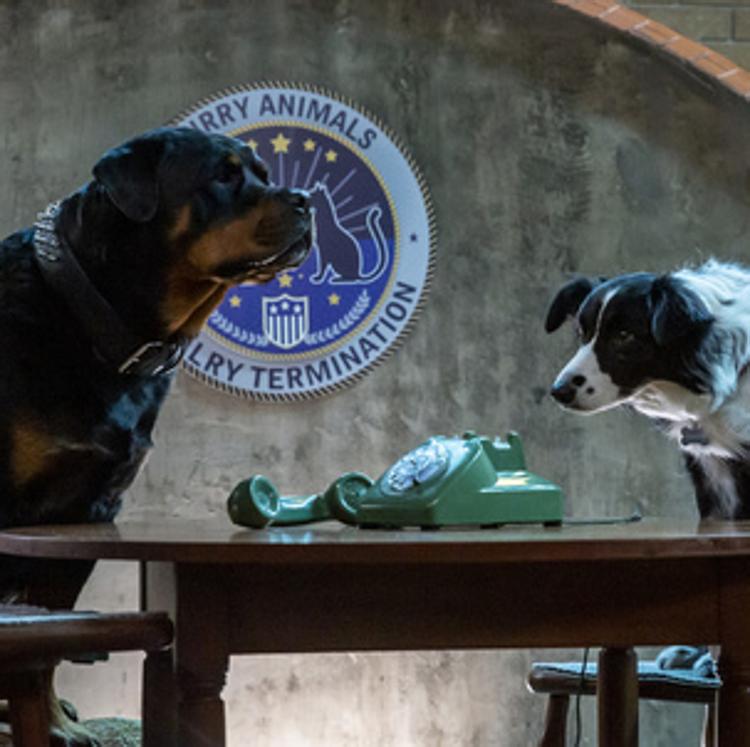 'Como perros y gatos' y 'El arco mágico', doble programa familiar