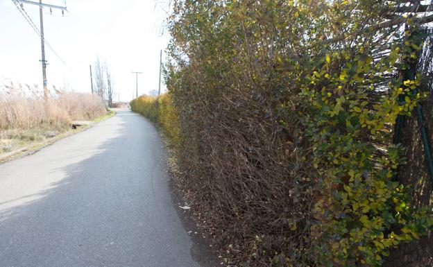 Una ciclista, herida tras una caída en el camino viejo de Alberite