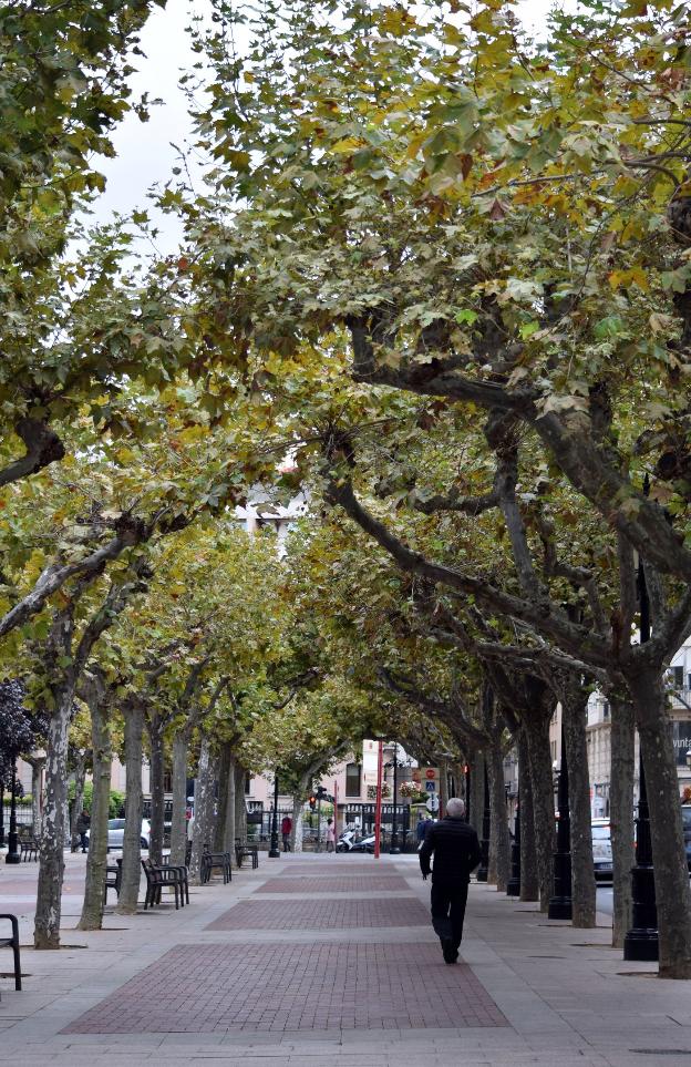 Buenos días, tristeza