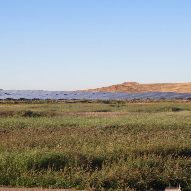 El arrendamiento de terrenos en Alfaro en la zona de Cofín para parque solar queda desierto