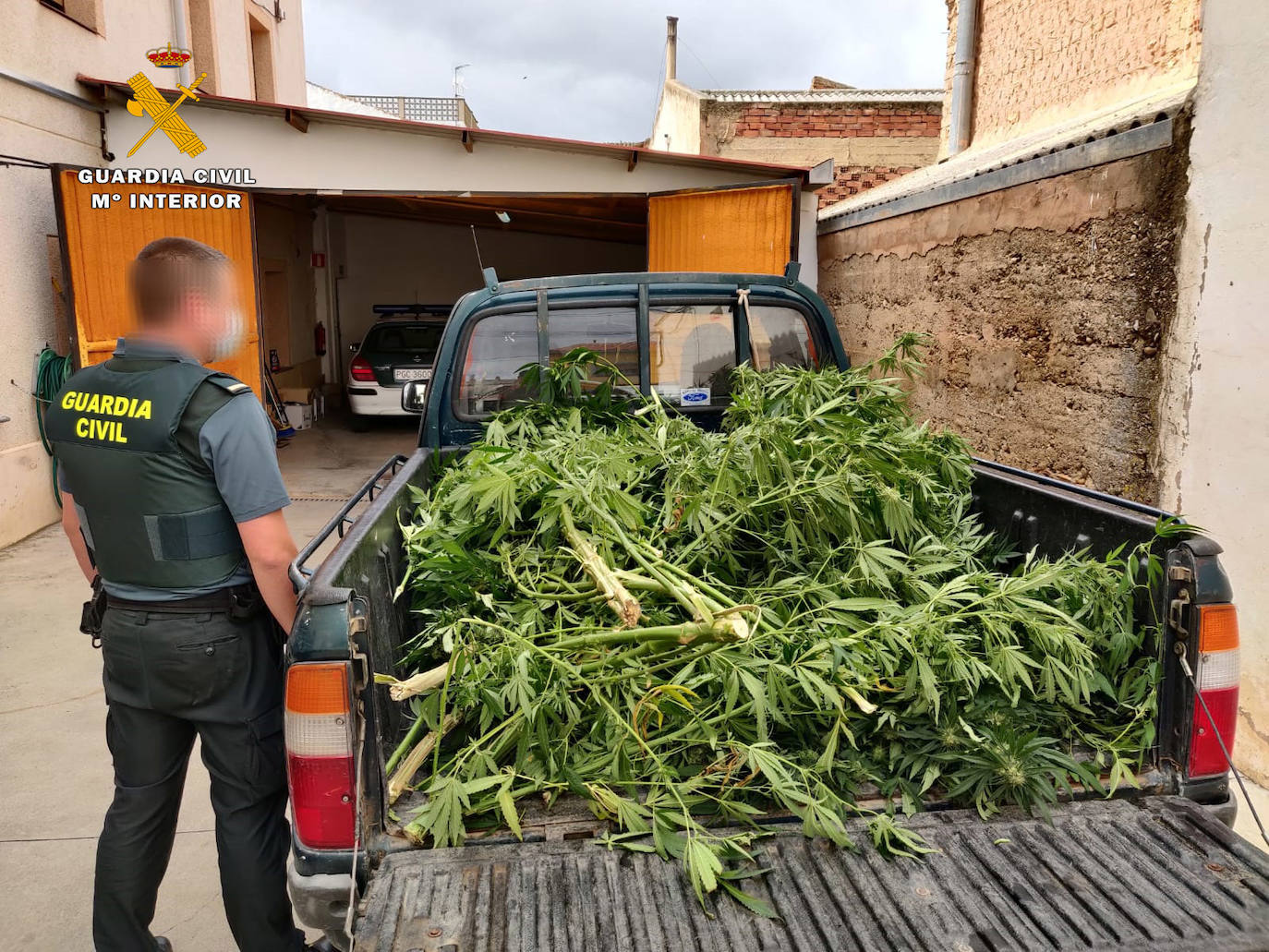 La Guardia Civil interviene siete plantas de marihuana en el interior de una finca de Alcanadre