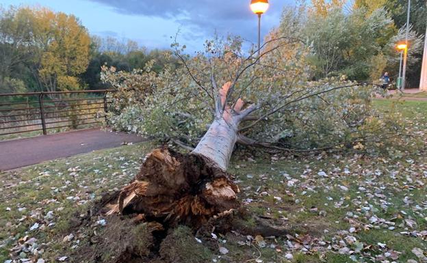 El viento deja 27 incidencias en La Rioja y rachas de hasta 146 km/h