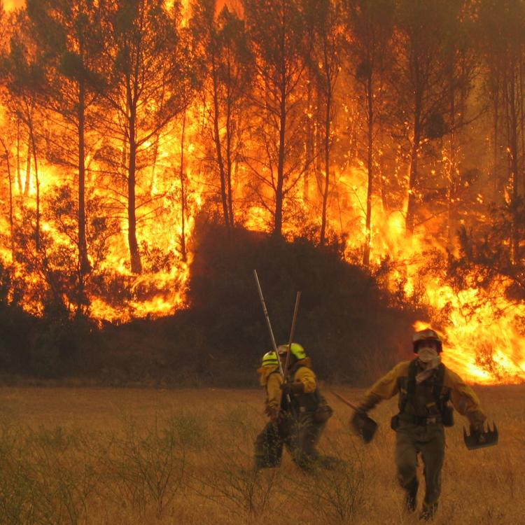 Los incendios se reducen un 30% y colocan a 2020 como el segundo mejor año del decenio