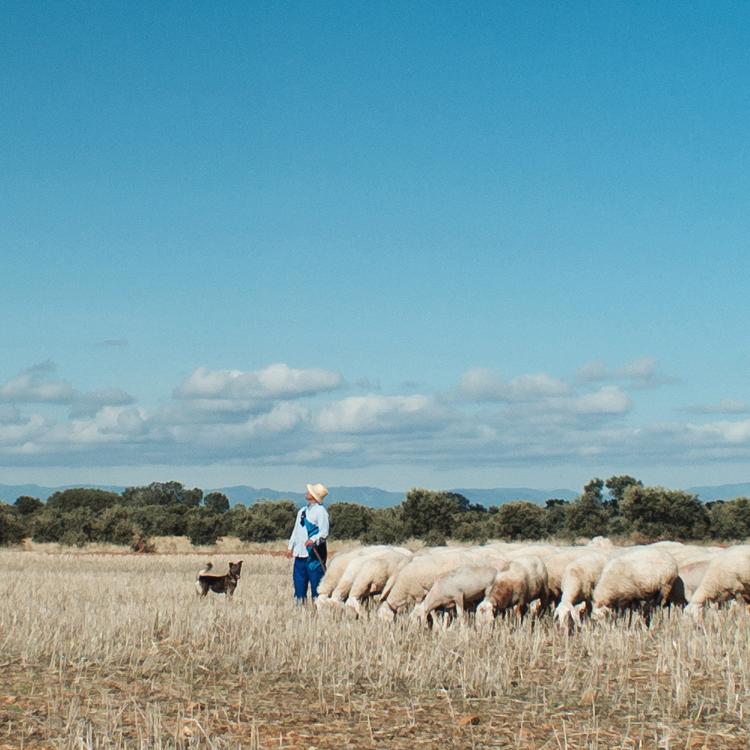 'Meseta', rural y sensorial