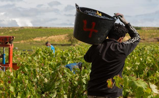 La Rioja pagará 14,57 millones en anticipos de las ayudas directas PAC