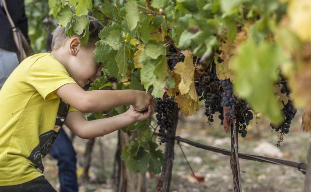 La Rioja invierte 25.782 euros para desarrollar actividades de educación ambiental