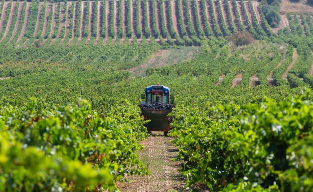 La Rioja pagará mañana 14,57 millones de euros de los anticipos de la PAC