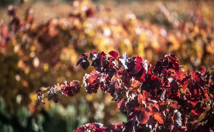 Los colores del otoño riojano