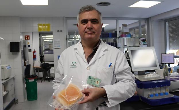 Málaga incorpora el plasma con anticuerpos como tratamiento contra el coronavirus