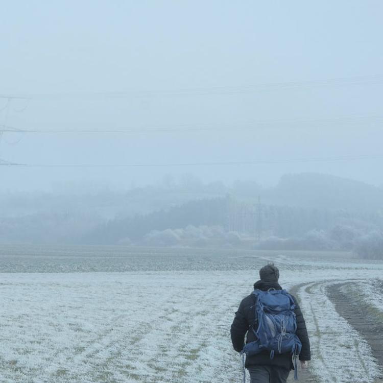 'Dear Werner', un sentido homenaje a Herzog