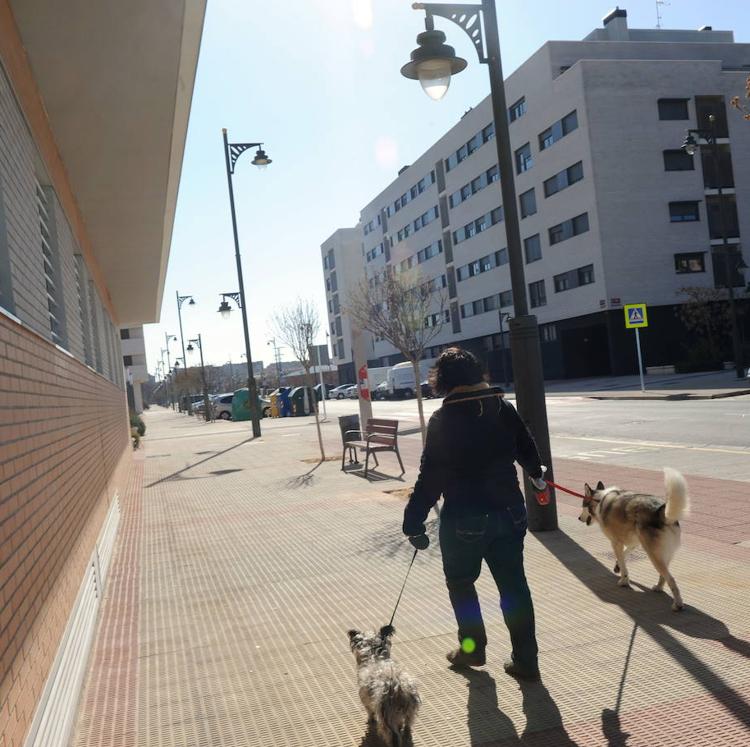 Logroño incorpora un distrito de limpieza de tipo residencial en El Campillo y aumenta el servicio de recogidas selectivas