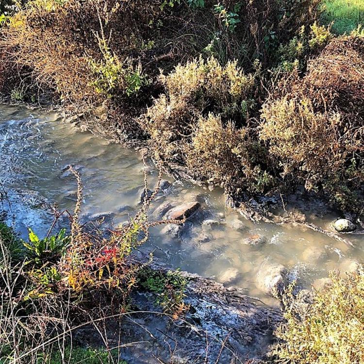 Ecologistas denuncian vertidos en el Yalde