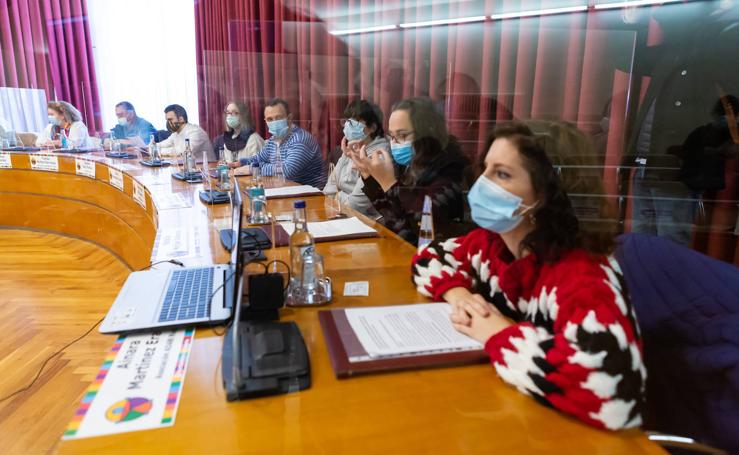 Logroño celebra el Pleno de la discapacidad