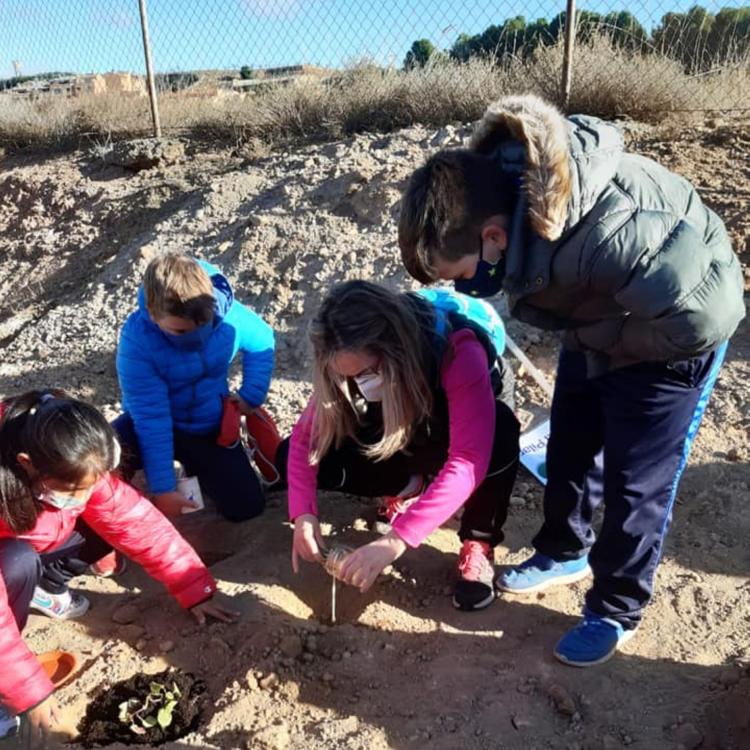 El colegio La Salle El Pilar de Alfaro lanza el proyecto de los 'huertos de aromas'