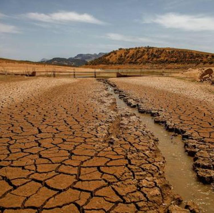 «Hay países sin recursos que asumen más responsabilidad climática que España»