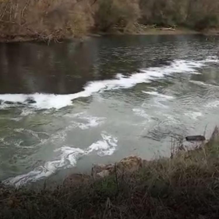 Dos vertidos afectan a los ríos Ebro y Alhama en los últimos días a su paso por Alfaro