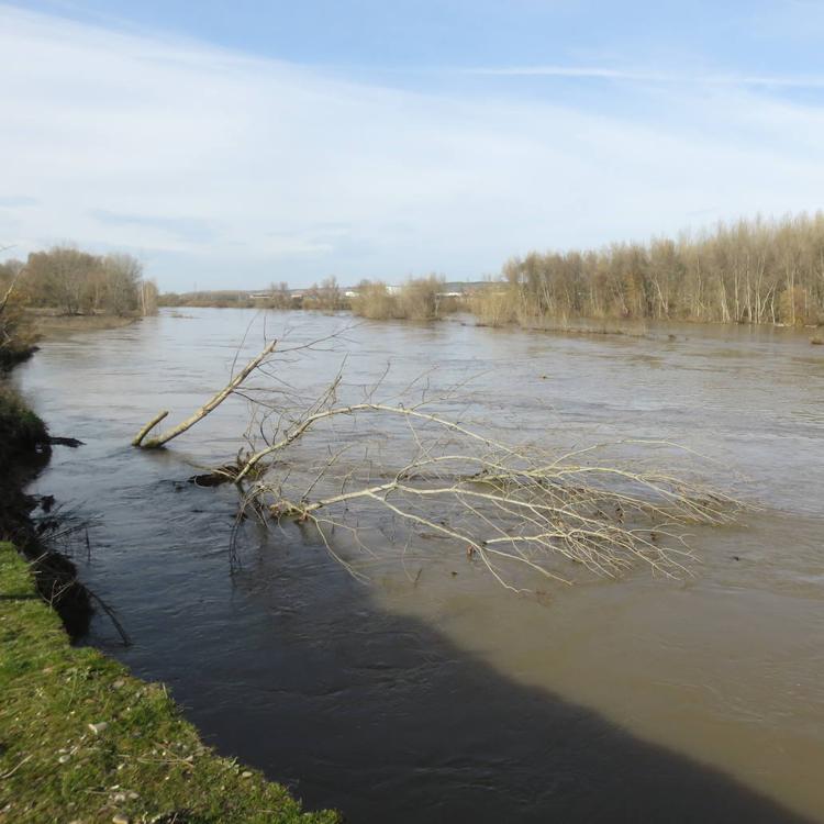 La primera crecida del invierno del Ebro sale de La Rioja sin daños