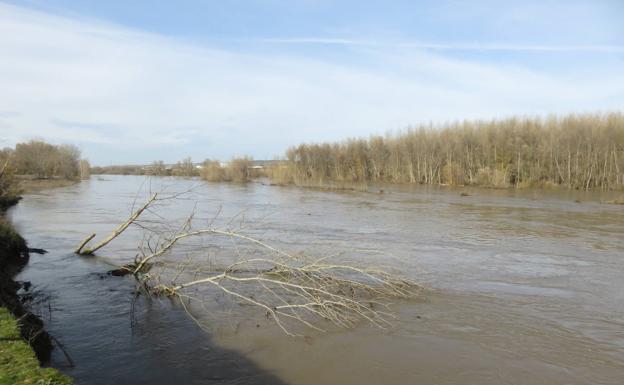 La primera crecida del invierno del Ebro sale de La Rioja sin daños