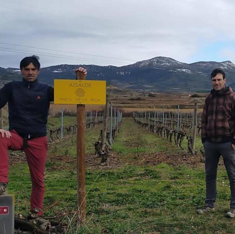 Finca de la Rica: del vino de pueblo al viñedo singular