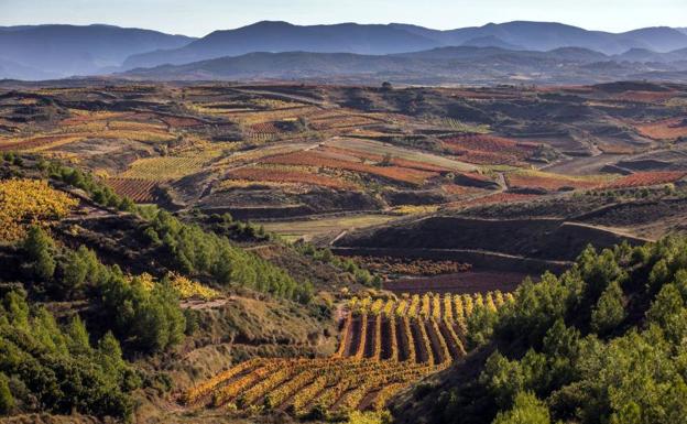 La Rioja aspira a convertirse en una 'enorregión' «verde y digital»