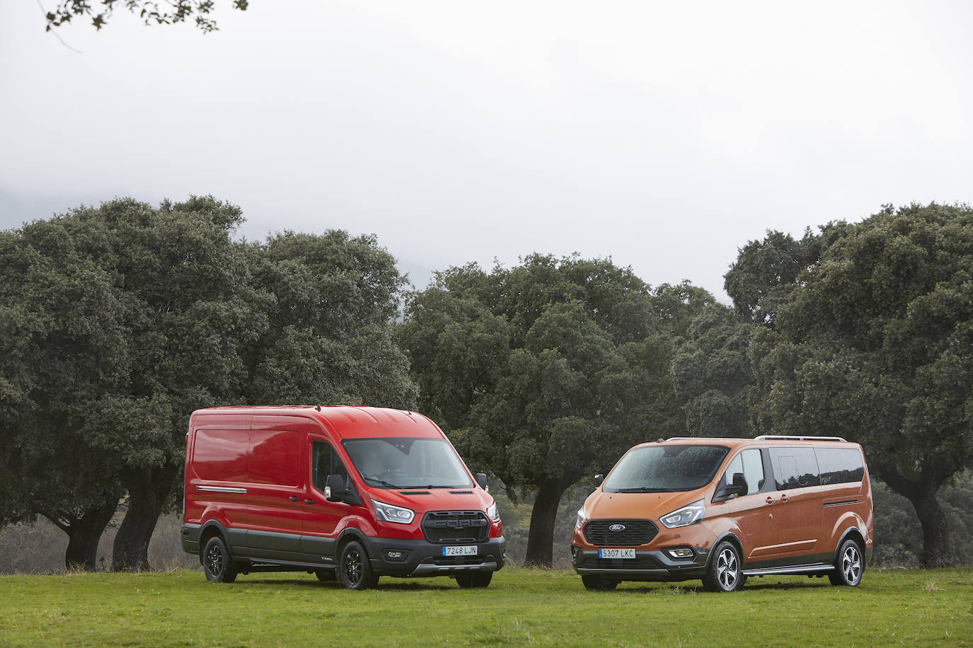 Fotogalería: Ford Transit Trail y Tourneo Active