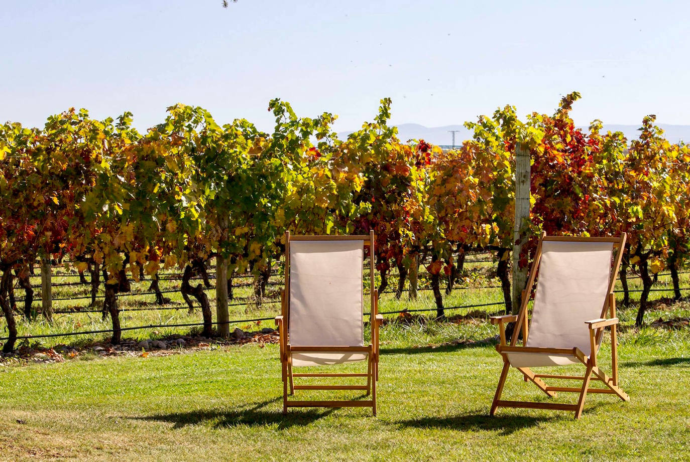 El comercio local de Logroño te invita a conocer el corazón de La Rioja vitivinícola