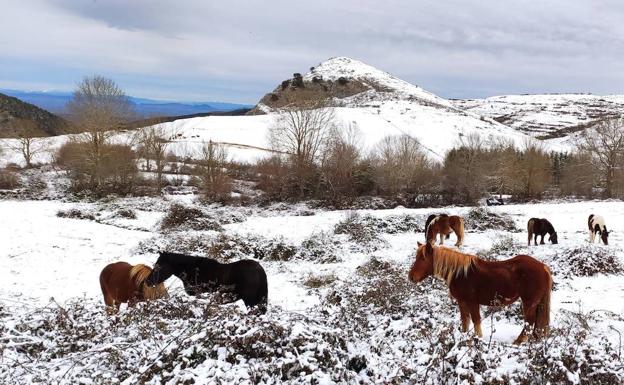 Activado el aviso amarillo por nevadas y vientos en La Rioja