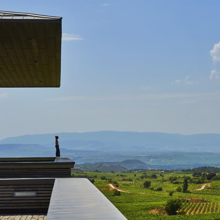 Rioja, a la cabeza del enoturismo