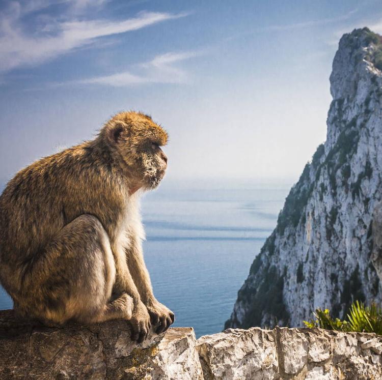 Gibraltar