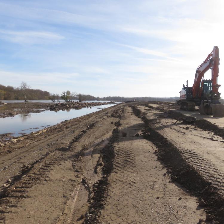 El Ebro recupera espacio en La Nava de Alfaro