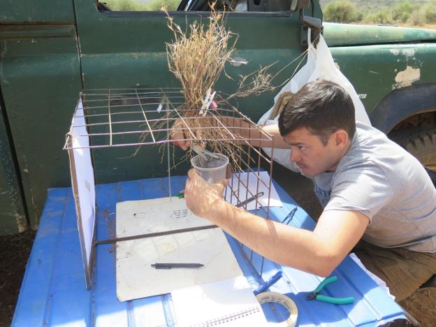 De diez rechazos en España a portada de 'Science', el éxito de un biólogo español tras emigrar