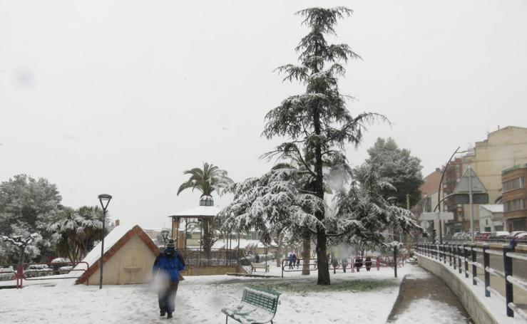 Nevada en Alfaro