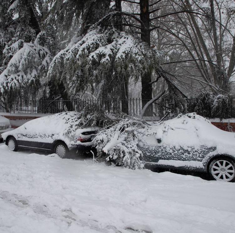 ¿Qué daños cubre el seguro tras la gran nevada?