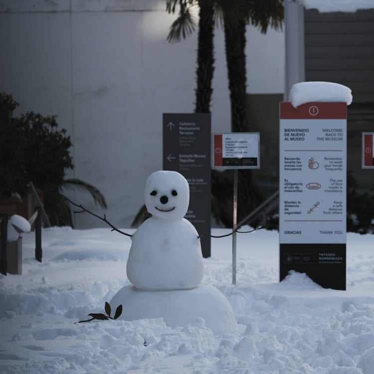 La cultura, al resguardo del hielo