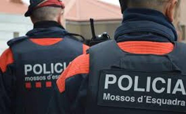 Muere un hombre en Girona atacado por un perro Staffordshire Terrier