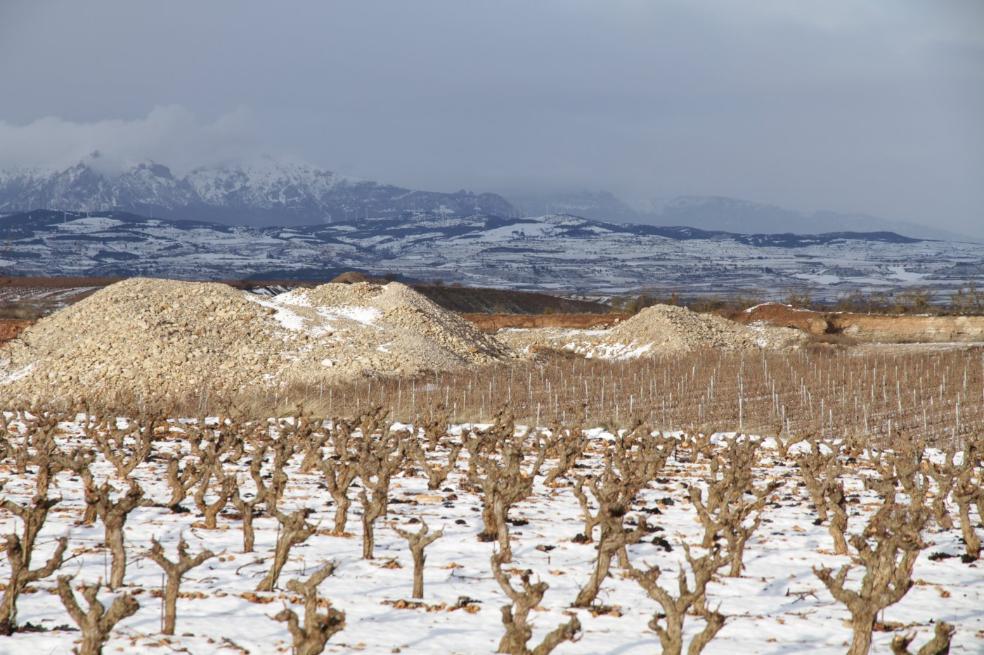 Nieve en el momento ideal para la viña