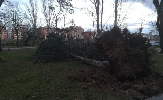 El viento azota con fuerza a La Rioja y causa 22 incidencias