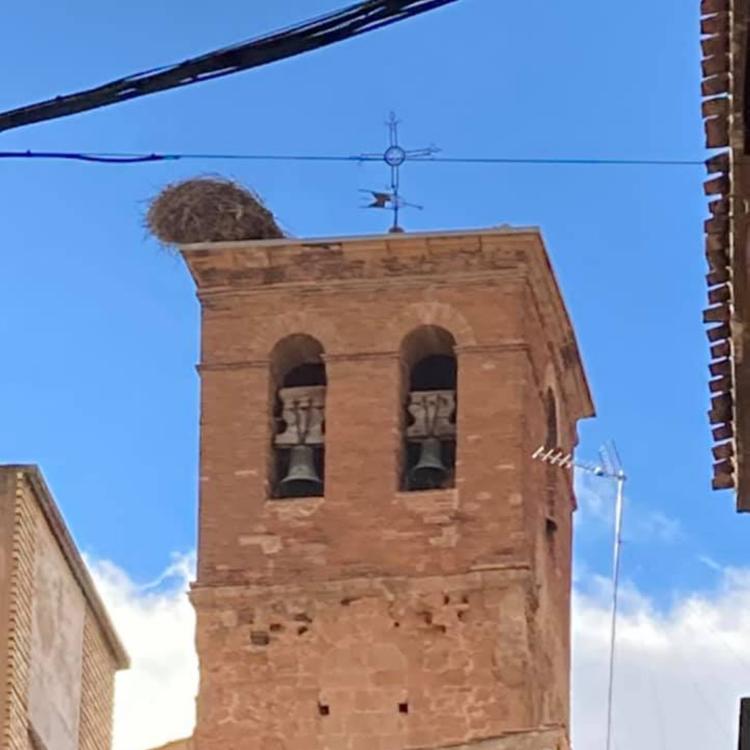 La parroquia restaurará la torre de Santo Tomás de Arnedo