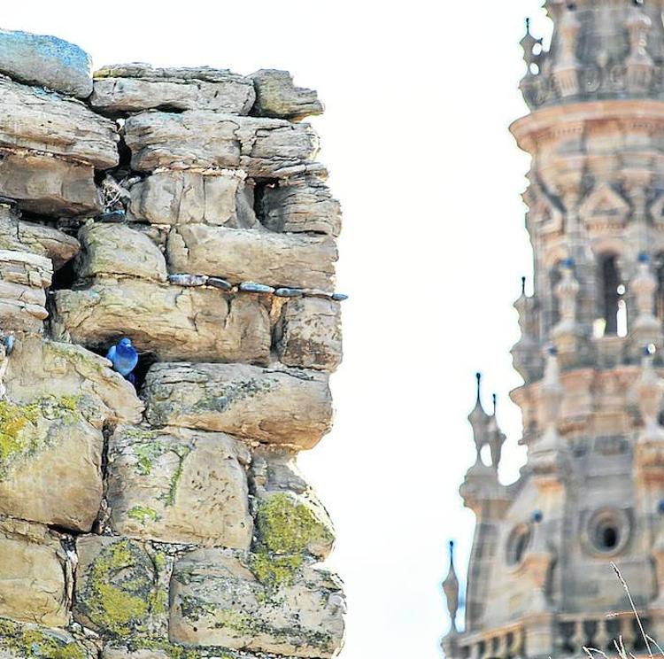 La muralla de Santo Domingo pide 'a grietas' que la ayuden