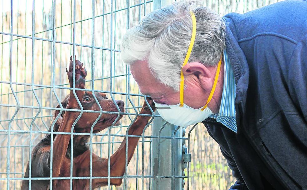 Linda vuelve a casa dos años después