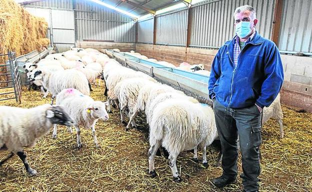 «Nos han hundido. La ganadería extensiva y la sierra, al garete»