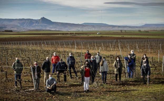 Amigos de la Tierra pide la paralización inmediata de los proyectos de energía renovable